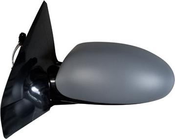 FERRON 11FD42002G - Oglinda exterioara aaoparts.ro