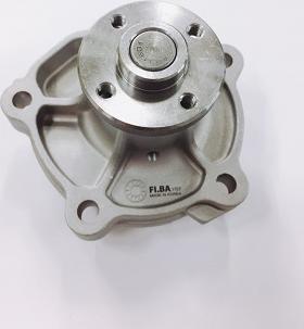 FI.BA WPF030 - Pompa apa aaoparts.ro