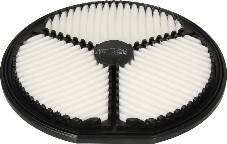 Filtron AK317 - Filtru aer aaoparts.ro