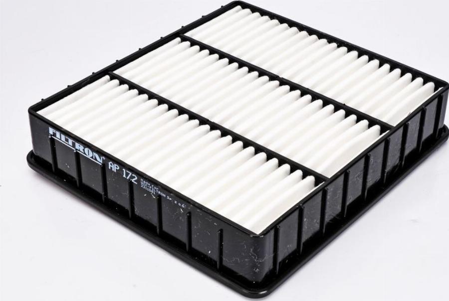 Filtron AP172 - Filtru aer aaoparts.ro