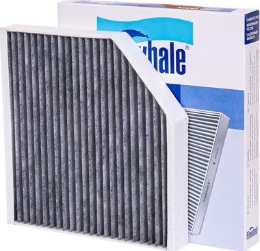 Finwhale AS950C - Filtru, aer habitaclu aaoparts.ro