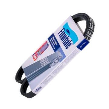 Finwhale BP4PK923 - Curea transmisie cu caneluri aaoparts.ro
