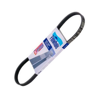 Finwhale BP4PK738 - Curea transmisie cu caneluri aaoparts.ro