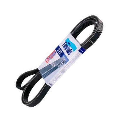Finwhale BP4PK773 - Curea transmisie cu caneluri aaoparts.ro