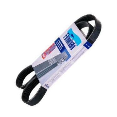 Finwhale BP6123 - Curea transmisie cu caneluri aaoparts.ro