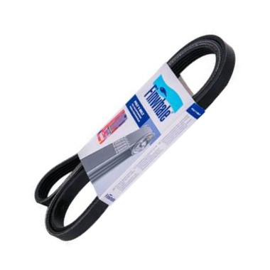 Finwhale BP6PK975 - Curea transmisie cu caneluri aaoparts.ro