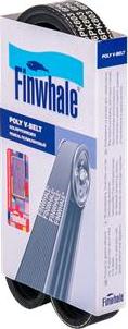 Finwhale BP6PK803 - Curea transmisie cu caneluri aaoparts.ro