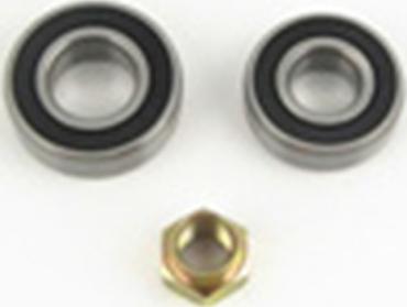 Fispa 460081 - Set rulment roata aaoparts.ro