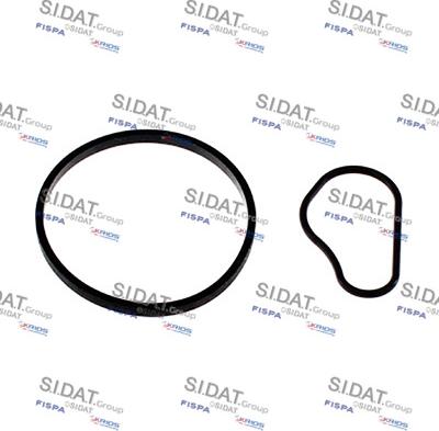 Fispa 89.184G - Garnitura, pompa vacuum aaoparts.ro