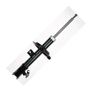 Fispa F210G0348 - Amortizor aaoparts.ro