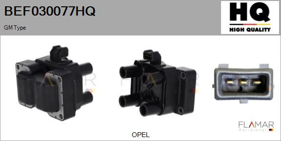 FLAMAR BEF030077HQ - Bobina de inductie aaoparts.ro