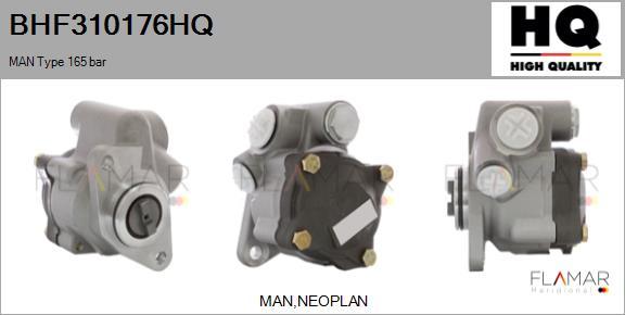 FLAMAR BHF310176HQ - Pompa hidraulica, sistem de directie aaoparts.ro