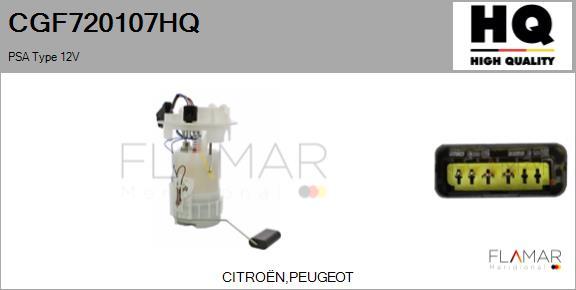 FLAMAR CGF720107HQ - Modul alimentare combustibil aaoparts.ro