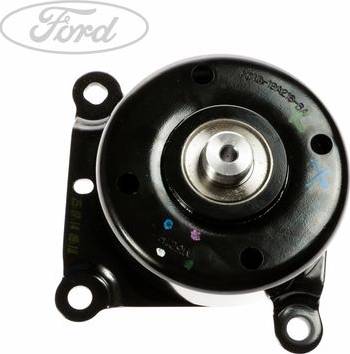 FORD 1425498 - Set curea transmisie cu caneluri aaoparts.ro