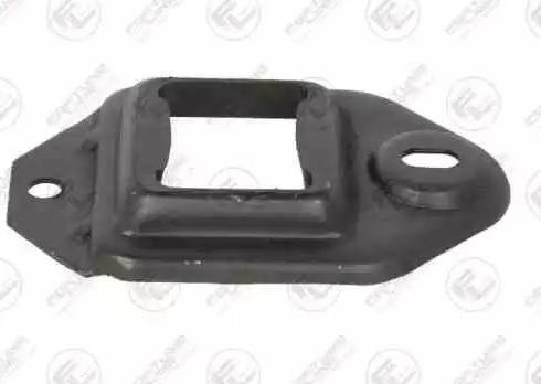 Fortune Line FZ90956 - Suport motor aaoparts.ro