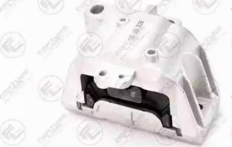 Fortune Line FZ90463 - Suport motor aaoparts.ro