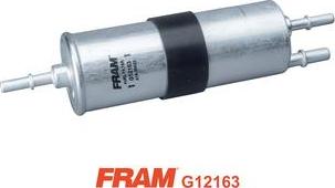 FRAM G12163 - Filtru combustibil aaoparts.ro