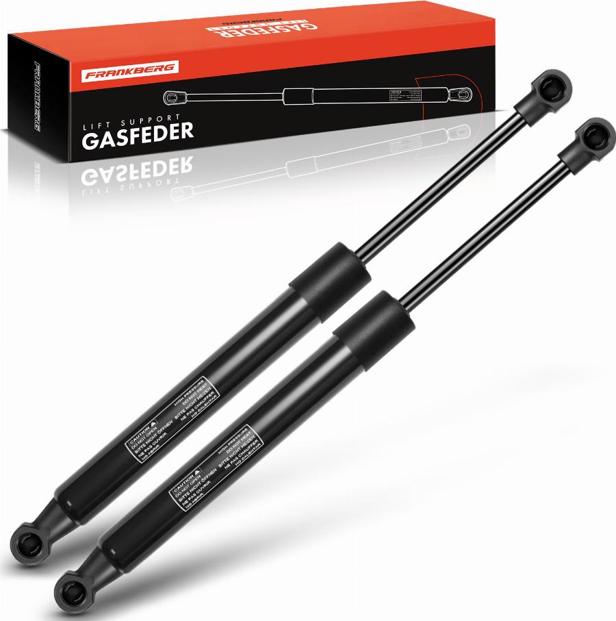 FRANKBERG 5481FB0047905 - Amortizor portbagaj aaoparts.ro