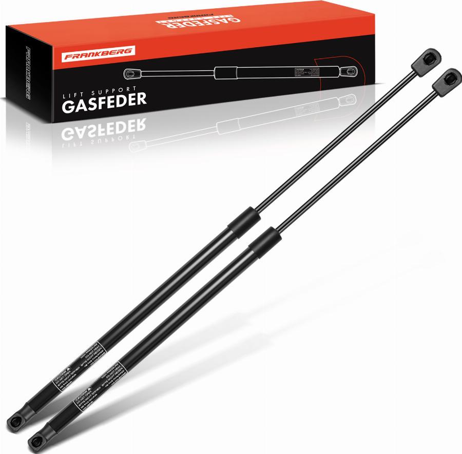 FRANKBERG 5481FB0039644 - Amortizor portbagaj aaoparts.ro