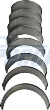 Freccia CR19-100510 - Set lagar biela aaoparts.ro