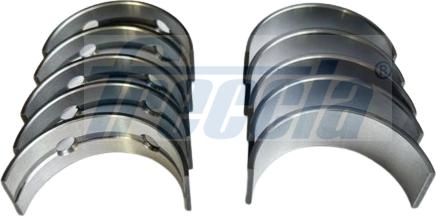 Freccia MB19-101400 - Set rulemt arbore cotit aaoparts.ro