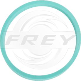 FREY 800510001 - Garnitura, galerie admisie aaoparts.ro