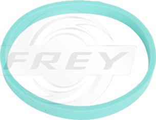 FREY 800602701 - Garnitura, galerie admisie aaoparts.ro