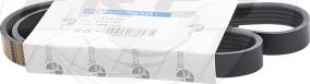 FREY 821609801 - Curea transmisie cu caneluri aaoparts.ro