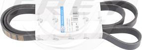 FREY 721605501 - Curea transmisie cu caneluri aaoparts.ro