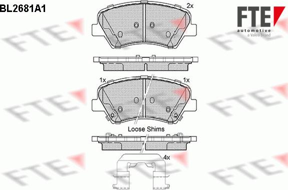 FTE 9010913 - Set placute frana,frana disc aaoparts.ro