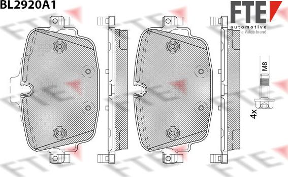 FTE 9011163 - Set placute frana,frana disc aaoparts.ro