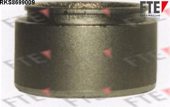 FTE 9313479 - Piston, etrier frana aaoparts.ro
