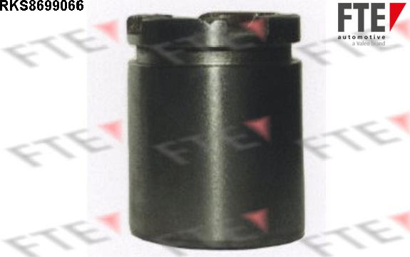 FTE 9313517 - Piston, etrier frana aaoparts.ro