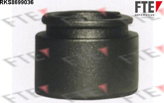 FTE 9313099 - Piston, etrier frana aaoparts.ro