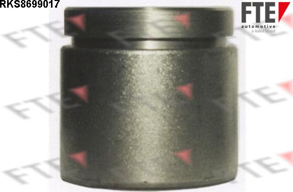 FTE RKS8699017 - Piston, etrier frana aaoparts.ro