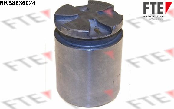 FTE RKS8636024 - Piston, etrier frana aaoparts.ro