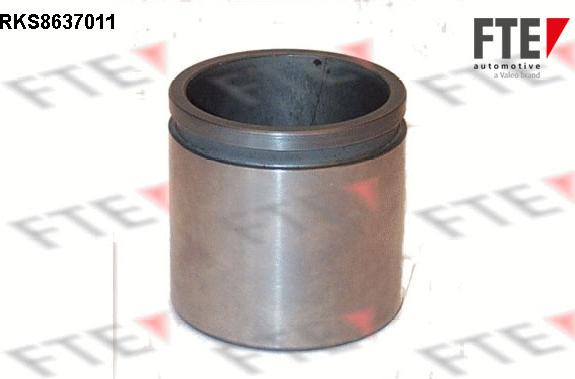 FTE 9313064 - Piston, etrier frana aaoparts.ro