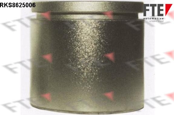 FTE RKS8625006 - Piston, etrier frana aaoparts.ro