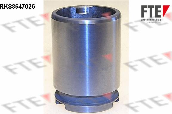 FTE 9313082 - Piston, etrier frana aaoparts.ro