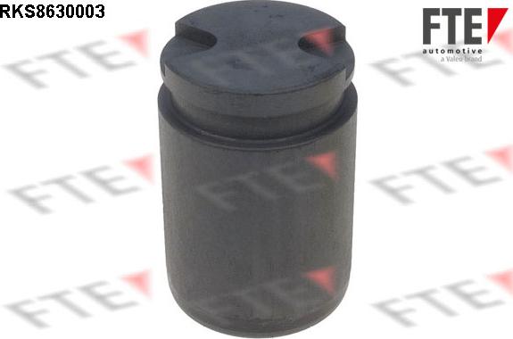 FTE 9313025 - Piston, etrier frana aaoparts.ro