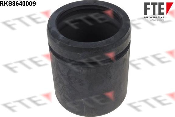 FTE 9313369 - Piston, etrier frana aaoparts.ro