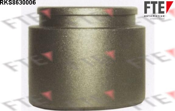 FTE 9313244 - Piston, etrier frana aaoparts.ro