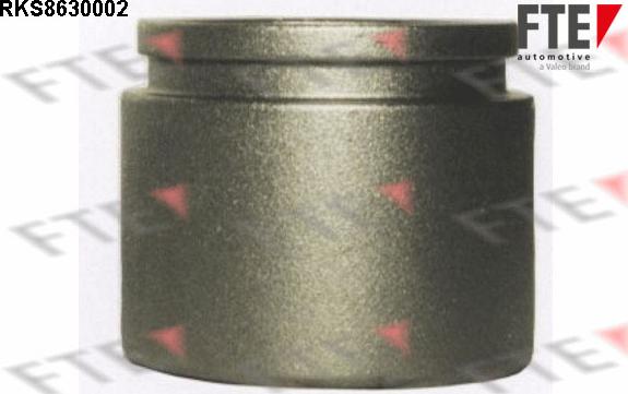 FTE RKS8630002 - Piston, etrier frana aaoparts.ro
