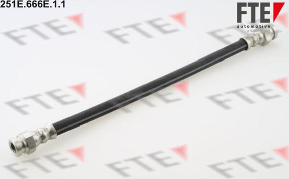 FTE 251E.666E.1.1 - Furtun frana aaoparts.ro