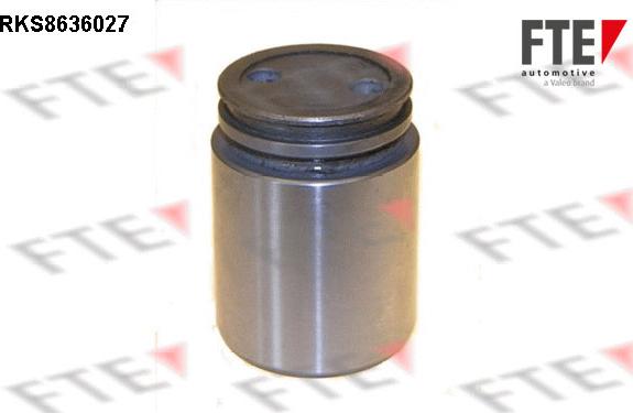 FTE RKS8636027 - Piston, etrier frana aaoparts.ro