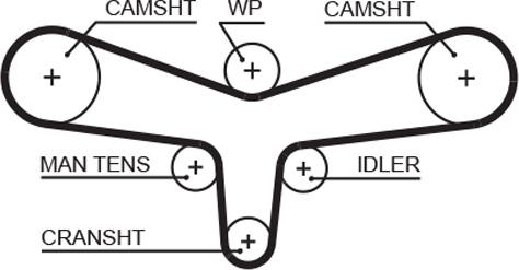 GATES 5557XS - Curea de distributie aaoparts.ro