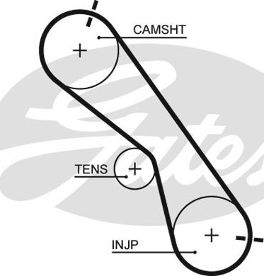 Gates 5560XS - Curea de distributie aaoparts.ro