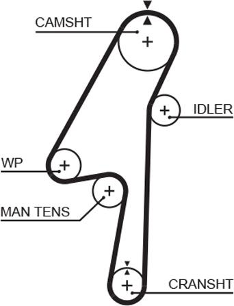 GATES 5580XS - Curea de distributie aaoparts.ro