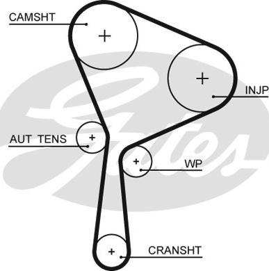 Gates K015654XS - Set curea de distributie aaoparts.ro