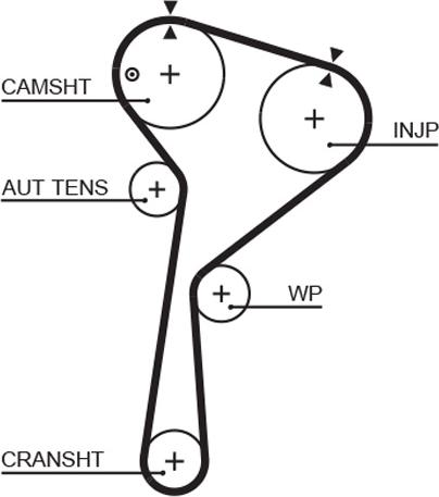 GATES 5675XS - Curea de distributie aaoparts.ro